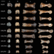 Left foot pieces